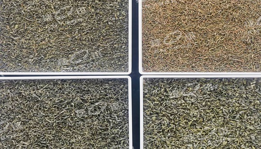 DF Color Sorter Improves the Quality and Efficiency of Xixiang Tea.