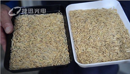 How to solve the surprisingly high rate of rice processing?---part 2