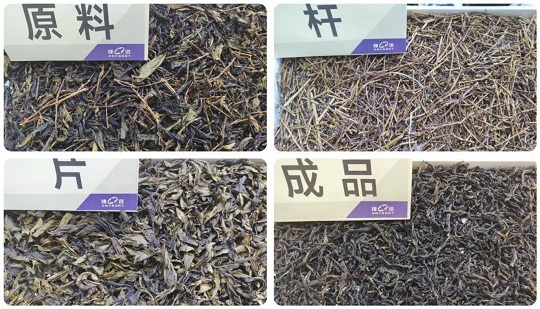 Which Model of Tea Color Sorter Can Really Achieve the Sorting Performance of “High Capacity, Low Breakage and One Time Clean”? 