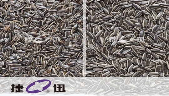 Who Helps Qiaqia Food Quality Supplier Tenghongyuan Trade Lead the New Quality Era?