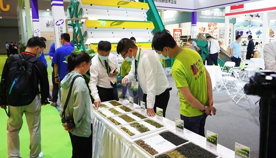 Hangzhou Tea Expo | Upgraded awareness of quality selection, deep breakthrough in tea sorting technology