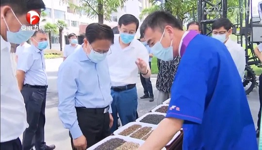 Zheng Shajie, Secretary of the Provincial Party Committee, Watched the Demonstration of Anysort Quality Sorting and Inquired in Detail