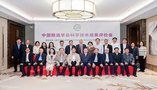 Academicians Sun Baoguo and Jin Zhengyu Led the Achievement Evaluation, and Anysort Cloud Control was Awarded the International Leading Level!