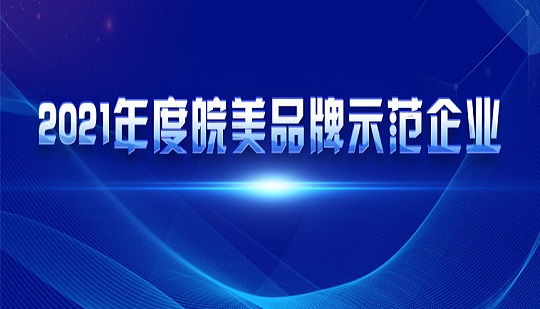 Anysort was selected as the 2021 Anhui Perfect Brand Demonstration Enterprise!