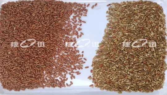 Paddy and Unpolished Rice Quality Sorting Will Save Grain and Reduce Losses to Tens of Millions of Grain Enterprises