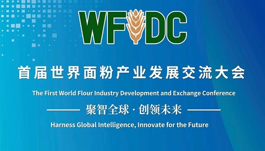 Focusing on the First International Flour Conference: ANYSORT 