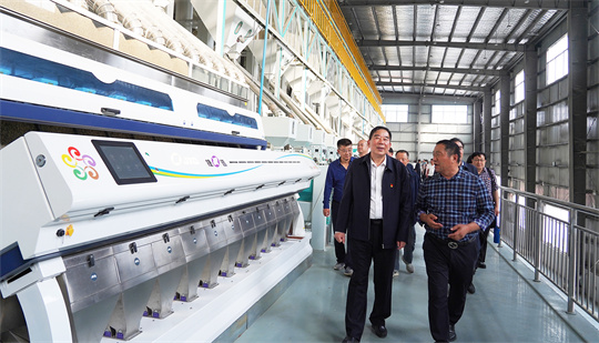 Walk into an Intelligent Production  Line Adopting Jiexun Sorting Technology